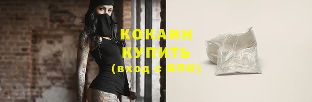 дживик Заволжск