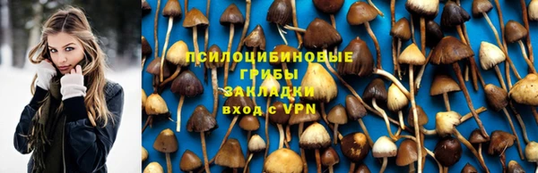 таблы Заводоуковск
