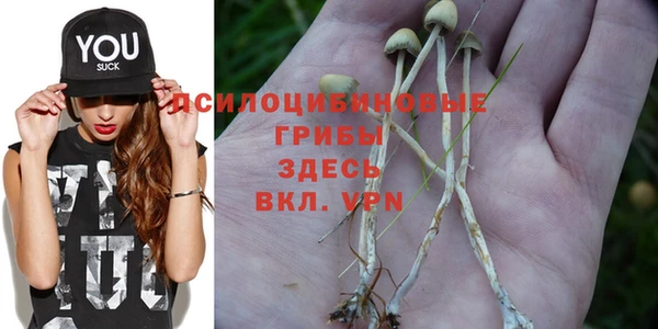 соль курить ск Елизово