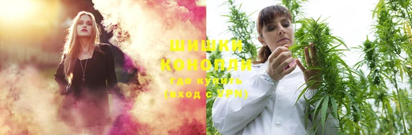 дживик Заволжск